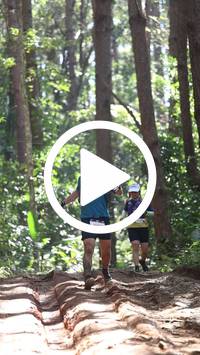 BIB:  <button type="button" onclick="openModal(26569412)" class="btn btn-primary btn-sm float-right" data-toggle="modal" data-target=".modal-high-quality">
                <i class="fa fa-download"></i> Download
                </button>